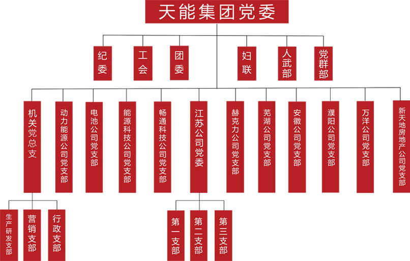 Ag亚洲集团建团党委组织架构
